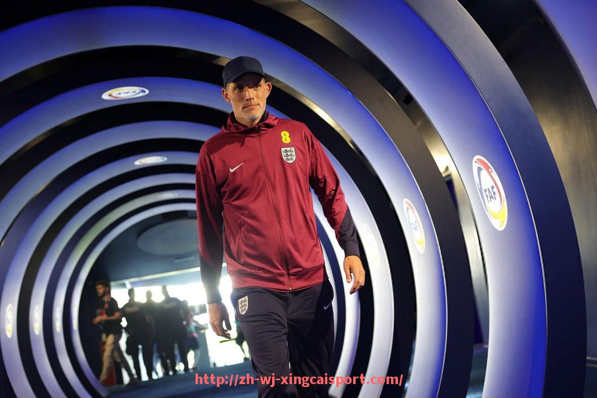 杏彩体育-意甲球队门票收入排名及主场经济效益深度研究