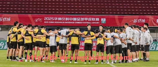 杏彩体育-意甲联赛将球队数量缩减至18支的原因解读