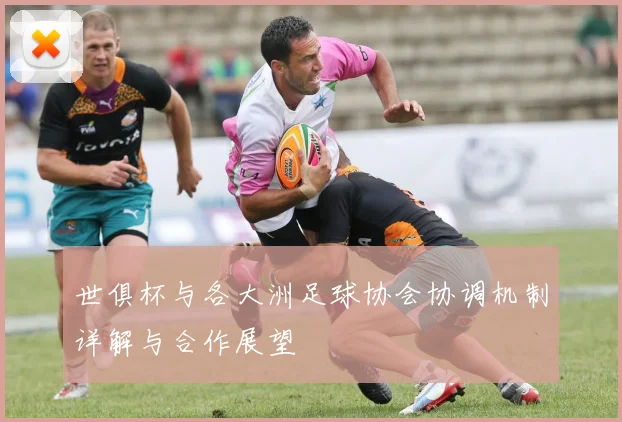世俱杯与各大洲足球协会协调机制详解与合作展望