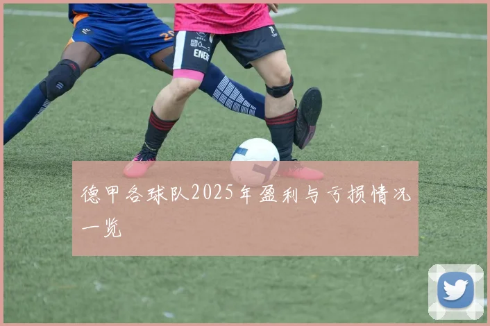 德甲各球队2025年盈利与亏损情况一览