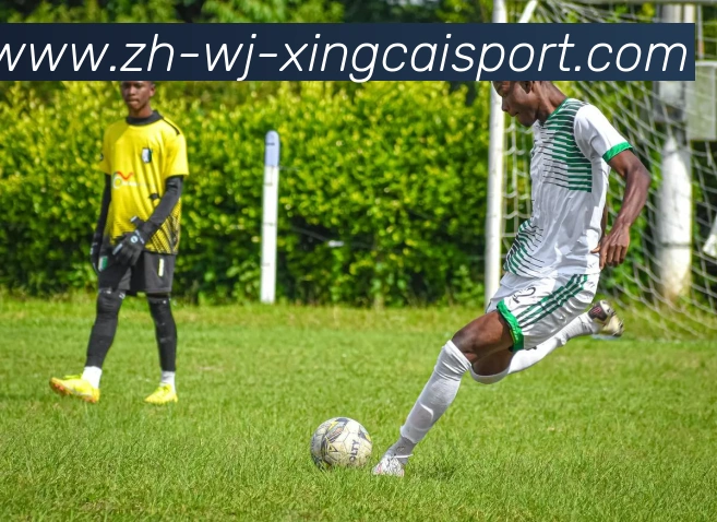 杏彩体育服务体系