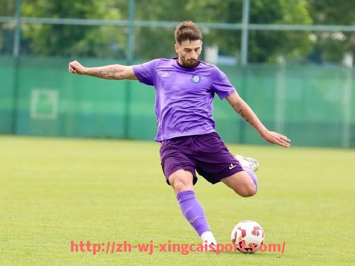 杏彩体育-意甲球队门票收入排名及主场经济效益深度研究