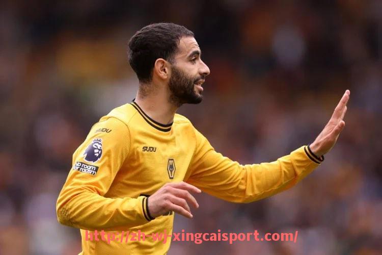 杏彩体育-曾在顶级联赛征战的七支意甲知名俱乐部盘点