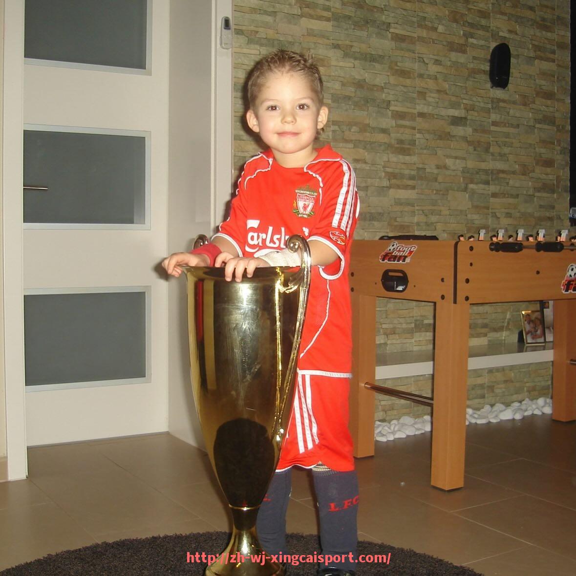 杏彩体育-法甲球员在球队战术体系中的角色定位与功能执行分析